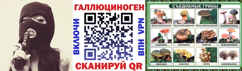 Купить закладки  Бакал  Псилоцибиновые грибы Psilocybine cubensis 