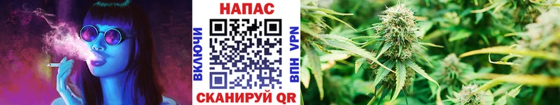 Купить Бакал МАРИХУАНА семена